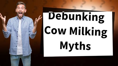 Do cows feel pain when milked?