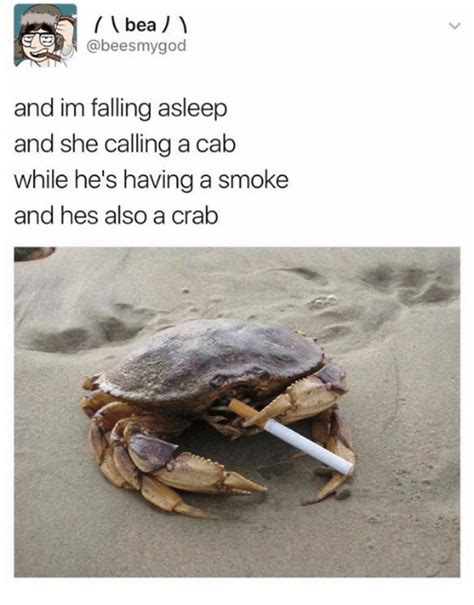 Do crabs fall asleep?