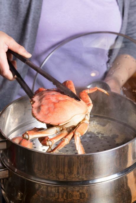 Do crabs feel being cooked?