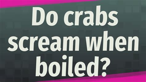 Do crabs scream when boiled?