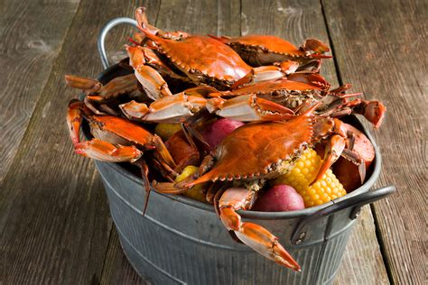Do crabs suffer when cooked?