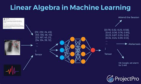 Do data scientists need linear algebra?
