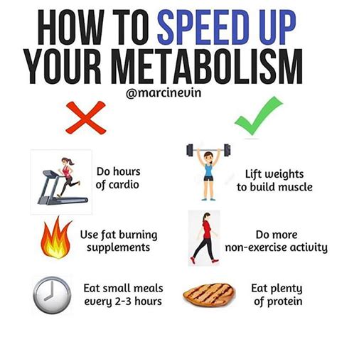 Do dates speed up metabolism?