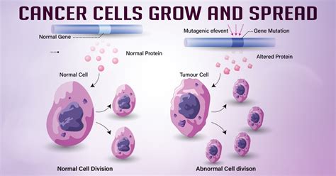 Do dead cancer cells leave the body?