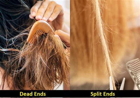 Do dead ends make your hair frizzy?