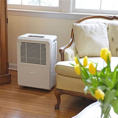 Do dehumidifiers stop mold?