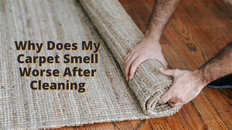 Do dirty carpets smell?