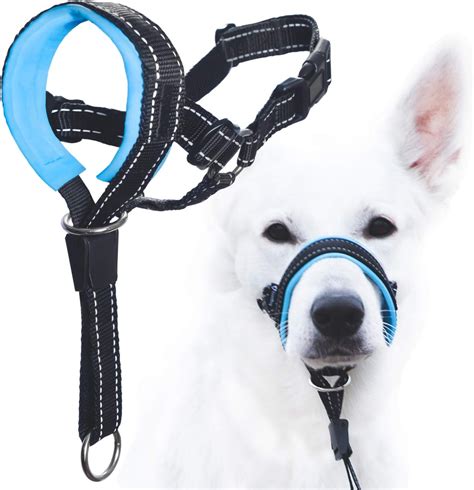 Do dog trainers recommend collars or harnesses?
