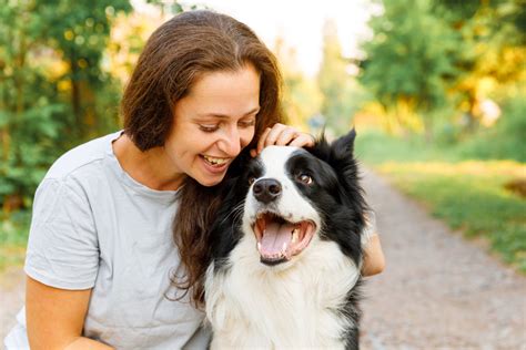 Do dogs actually like being pet?