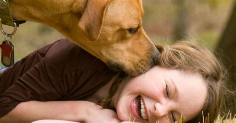 Do dogs actually love you?