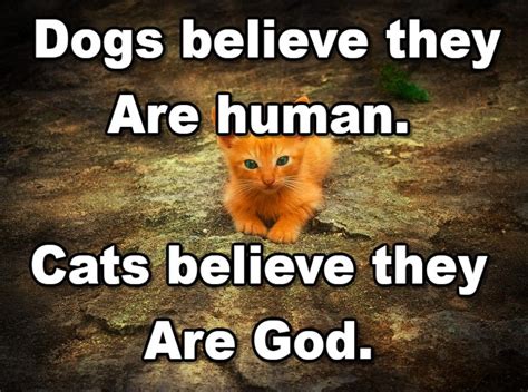 Do dogs believe in God?