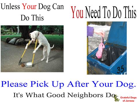 Do dogs care if you pick them up?