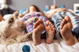 Do dogs choose who they sleep with?