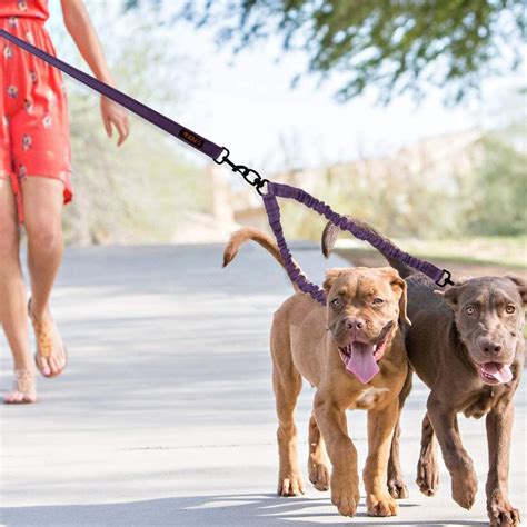 Do dogs enjoy being on a leash?