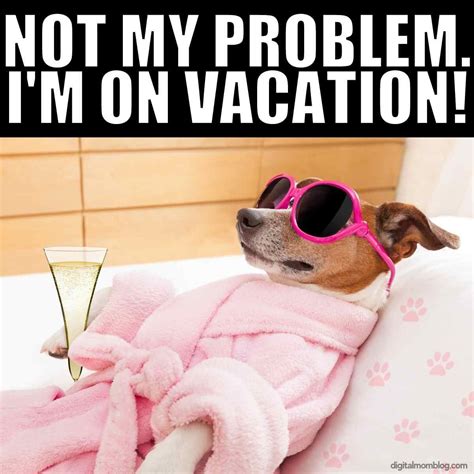 Do dogs enjoy holidays?