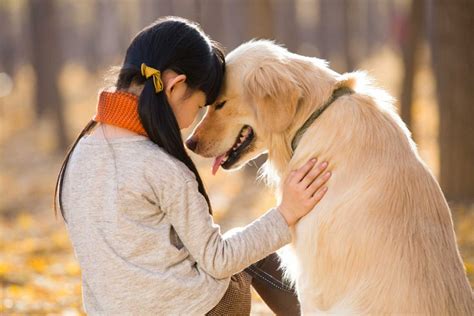 Do dogs feel love for their owners?