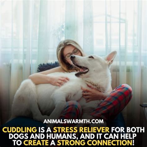 Do dogs feel love like we do?