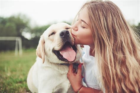 Do dogs feel love or just loyalty?
