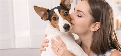 Do dogs feel love when you kiss them?