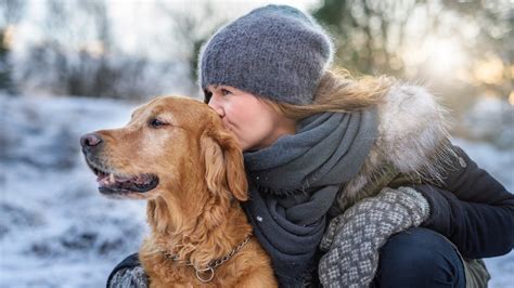 Do dogs feel the cold like humans?