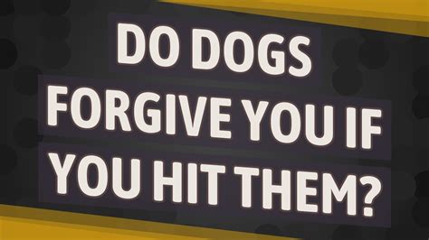 Do dogs forgive you when you hit them?