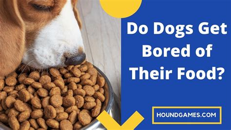Do dogs get bored of their food?