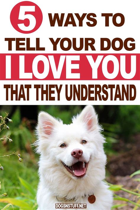 Do dogs know that you love them?