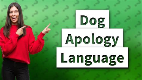 Do dogs lick to say sorry?