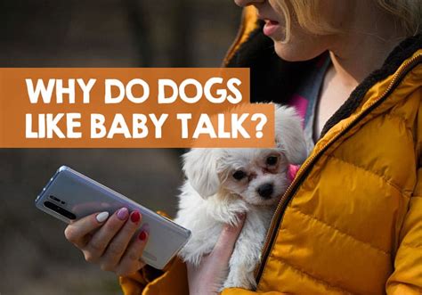 Do dogs like baby talk?