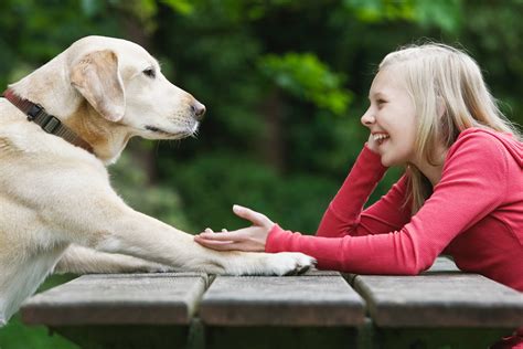 Do dogs like humans to talk to them?