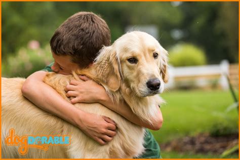 Do dogs like it when you hug them?