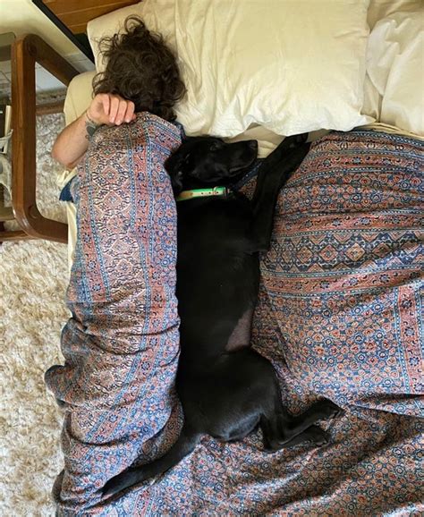 Do dogs like sleeping with humans?