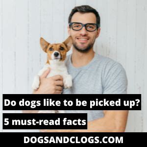Do dogs like to be picked up?
