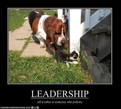 Do dogs like to have a leader?