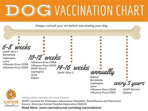 Do dogs need shots every year?