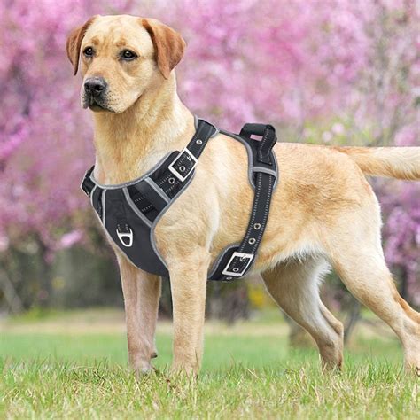 Do dogs pull harder with a harness?