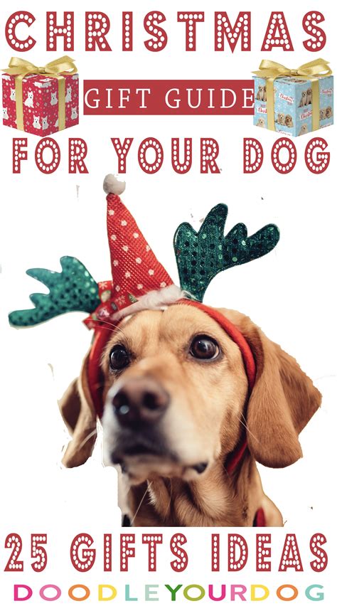 Do dogs recognize gifts?