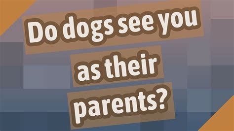 Do dogs see you as a parent?