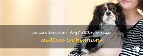 Do dogs sense autism?