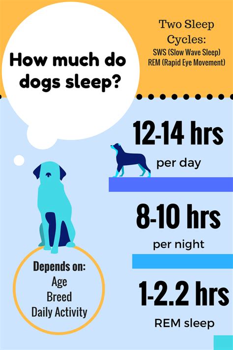 Do dogs sleep 8 hours like humans?