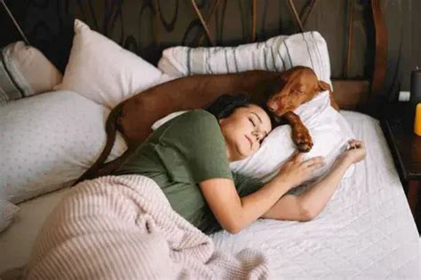 Do dogs sleep near the Alpha?
