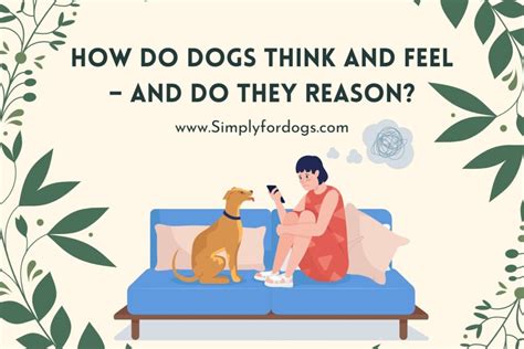 Do dogs think or just feel?