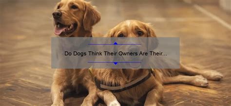 Do dogs think owners are their parents?