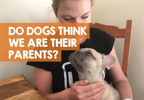 Do dogs think you're their parents?