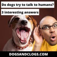 Do dogs try to talk like us?