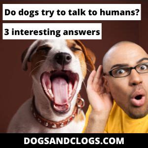 Do dogs try to talk to us?