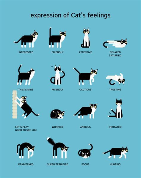 Do dogs understand cat body language?