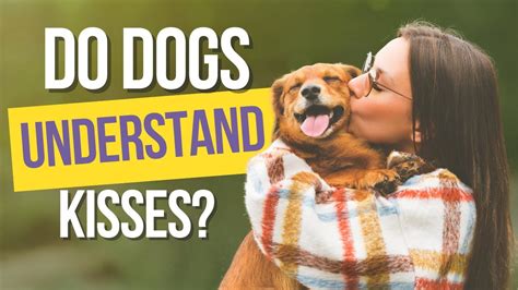 Do dogs understand kisses?