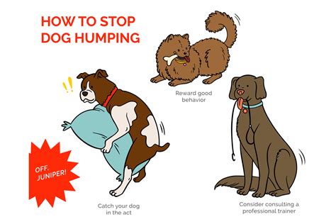 Do dogs want to hump humans?