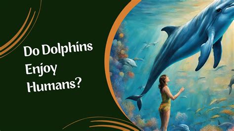 Do dolphins enjoy humans?